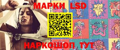 индика Вязьма