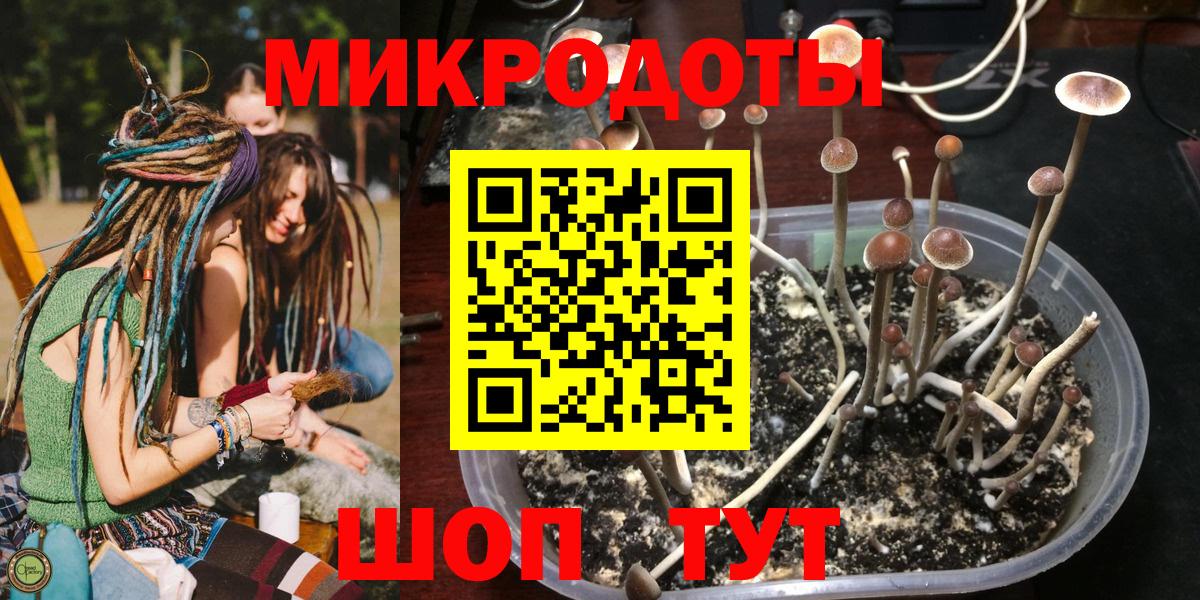Самара  Галлюциногенные грибы ЛСД  Вход с VPN 